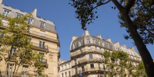 immobilier
